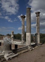 Corinthian columns at the fish pond