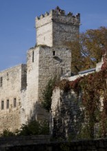 Eckartsburg with maiden tower and western keep