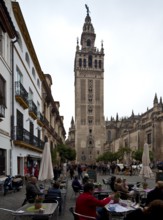 Seville, Cathedral. Bell tower GIRALDA seen from the north from the street Placentines Sevilla,