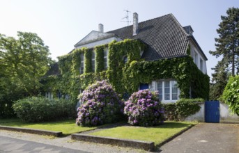 Krefeld, artists' houses in the Windmühlenstraße