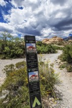 Turtlehead Peak hiking trail sign, Red Rock Canyon National Recreation Area, Nevada, USA, North