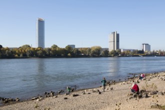 View over the Rhine, Posttower, former parliamentary tower Langer Eugen and Marriott World