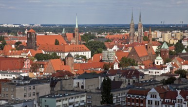 View from the tower of St Elisabeth's Church to the north-east with several medieval churches and