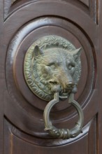 Door fitting with wolf's head, the heraldic animal of the Wolff-Metternich family