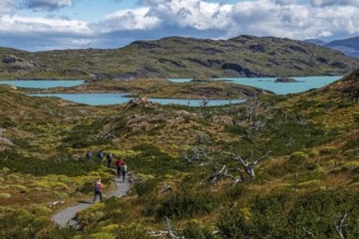 Trekker in front of Lagunas Melizas, Torres del Paine National Park, Patagonia, Chile, South