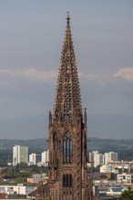 Freiburg im Breisgau, Cathedral of Our Lady, tower from the east