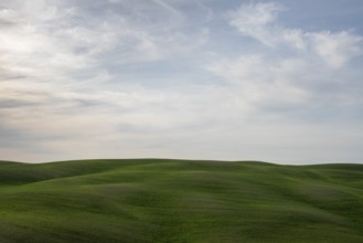 Near Montalcino, hilly landscape