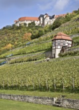 Freyburg/Unstrut, Neuenburg Castle and ducal vineyard