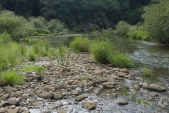 Low water level in the Kocher valley near Braunsbach, climate impact, climate change, gravel bank,