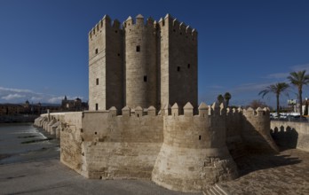 Cordoba, Calahorra Tower. Museum of the Three Cultures View from south back left Cathedral