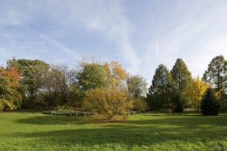 Düsseldorf, Heinrich Heine University