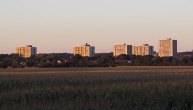 Erftstadt, view of the tower blocks in Liblar