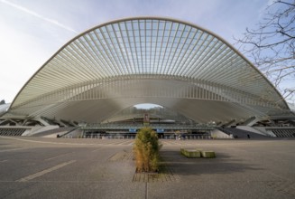 Liège, Liège-Guillemins railway station, design 2009 Santiago Calatrava, station forecourt