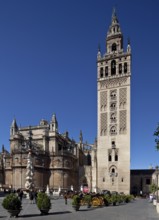 Seville, Cathedral. Seville Cathedral with bell tower, St, Saint, Saint