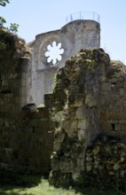 Ruins of the monastery church from the north, behind the ruins of the south transept with rose