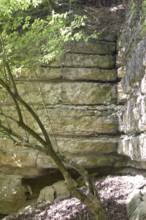 Medieval Kapfelberg quarry, Teugn, stones were quarried here in the Middle Ages for building the