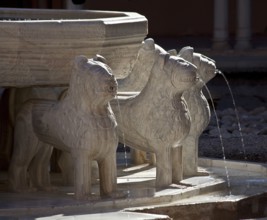 Nasrid Palace Courtyard of the Lions (Patio de los Leones), Fountain of the Lions (Fuente de los