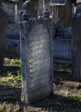 Gravestone with Hebrew text field