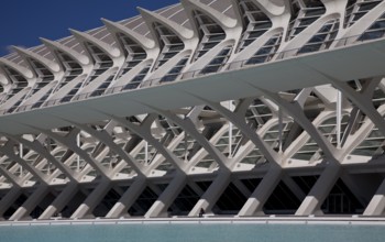 City of Arts and Sciences (cat./val. Ciutat de les Arts i de les Ciències), MUSEO DE LAS CIENCIAS,