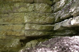 Medieval Kapfelberg quarry, Teugn, stones were quarried here in the Middle Ages for building the