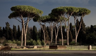 Rome, Caracalla Thermal Baths 32912