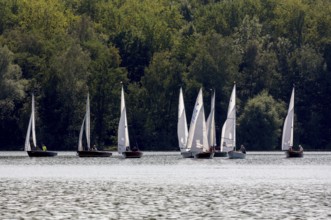 Sailing regatta of the SCV Segelclub Ville, Zugvogel, Schwertzugvogel