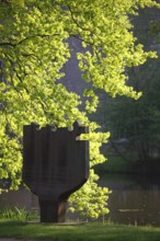 Moyland, castle park in spring