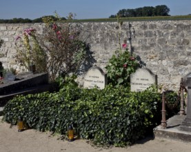 Gravestones of the painter Vincent van Gogh and his brother Theodor, arranged in this way since