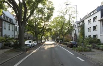 Krefeld, Friedrich-Ebert-Straße