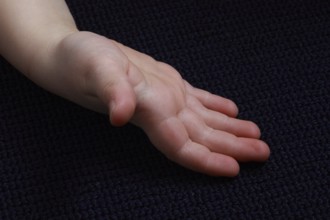 Hand of a child, 5 fingers, 5 fingers, thumb, receive, palm, hands, fingertips, finger-tip, hand