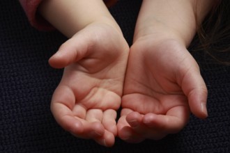 Hand of a child, 5 fingers, 5 fingers, thumb, receive, palm, hands, fingertips, finger-tip, hand