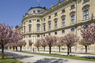 Garden façade with cherry blossom