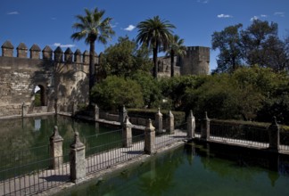 Córdoba, Alcázar de los Reyes Christianos. Fortress of the Christian Kings. Park with water basin