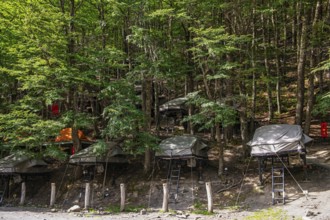 Campsite at Rifugio Chileno, Torres del Paine National Park, Patagonia, Chile, South America