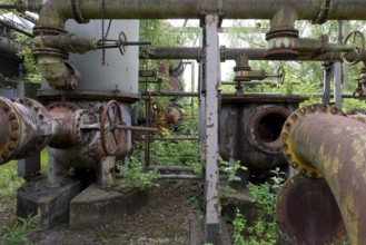 Pipes and vegetation, nature and technology