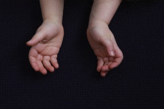 Hand of a child, 5 fingers, 5 fingers, thumb, receive, palm, hands, fingertips, finger-tip, hold up