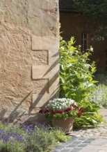 Herb garden between Abthaus and Infirmerie