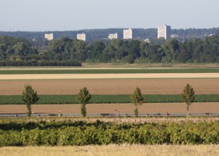 Erftstadt, view from the Römerstraße near Friesheim to the tower blocks in Liblar