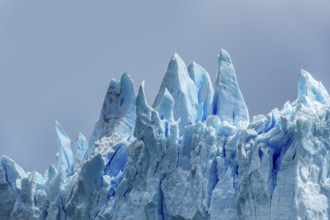 Perito Moreno Glacier, glacier tongue, glacier break, Los Glaciares National Park, Santa Cruz,