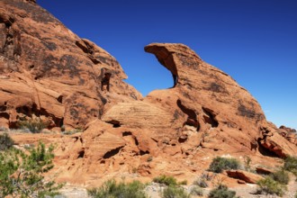 Atlatle Rock Campground, Valley of Fire State Park, Nevada, USA, North America