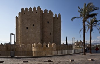 Cordoba, Calahorra Tower. Museum of the Three Cultures View from south-east back right Cathedral