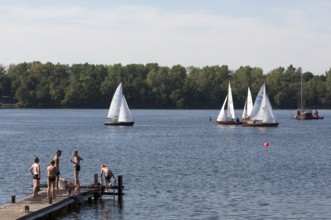 Sailing regatta of the SCV Segelclub Ville, Zugvogel, Schwertzugvogel