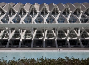 City of Arts and Sciences (cat./val. Ciutat de les Arts i de les Ciències), MUSEO DE LAS CIENCIAS,