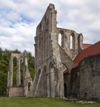 Walkenried Ruin of the monastery church Partial view from the west left Remainder of the choir loft