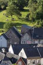 Kornelimünster, roofscape with cow pasture