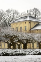 Krefeld, Schönwasserpark, Haus Schönwasser, park side with plane trees