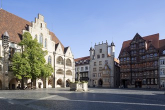 Hildesheim, market square with town hall, Tempelhaus, and Wedekindhaus