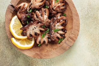 Grilled baby octopus with green onions, lemon slices, on a wooden plate, homemade, no people