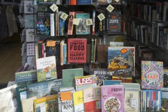 Shop window display of secondhand books in Dorothy House charity shop, Chippenham, Wiltshire,