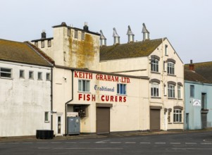 Keith Graham Ltd fish curers, Grimsby docks, north east Lincolnshire, England, UK